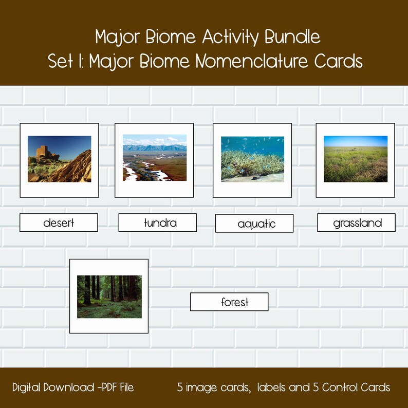 Montessori Printable Science Activities, Montessori Biome 3part Cards