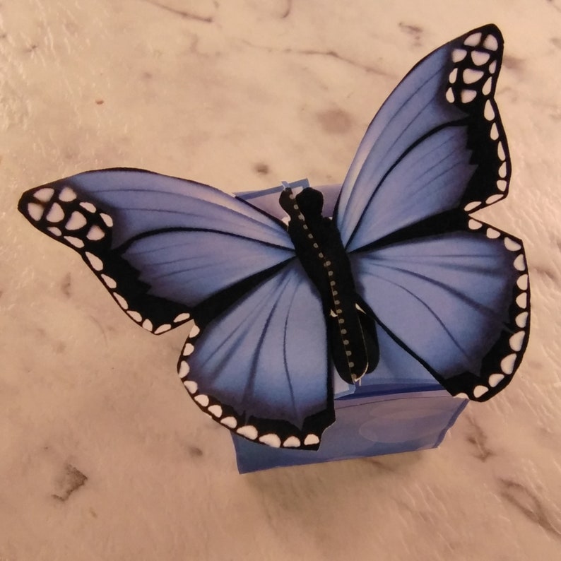Butterfly Gift Box Printable Surprise Box Favour Box Etsy