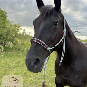 Draft Horse Rope Halter – Handmade with Braided Paracord Noseband – Extra Large Fit