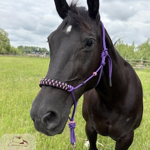 Custom Rope Horse Halter with Braided Paracord Noseband – Handmade Western Tack For Training, Groundwork, Riding