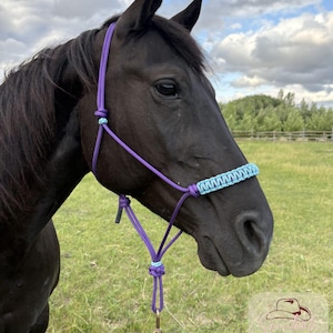 Custom Rope Halter for Draft Horses – Braided Paracord Noseband- Colorful Horse Halter for Training