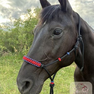 Western Style Rope Halter for Horses – Custom Braided Paracord Noseband- Handmade Training halter
