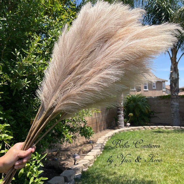Faux Pampas Grass Etsy