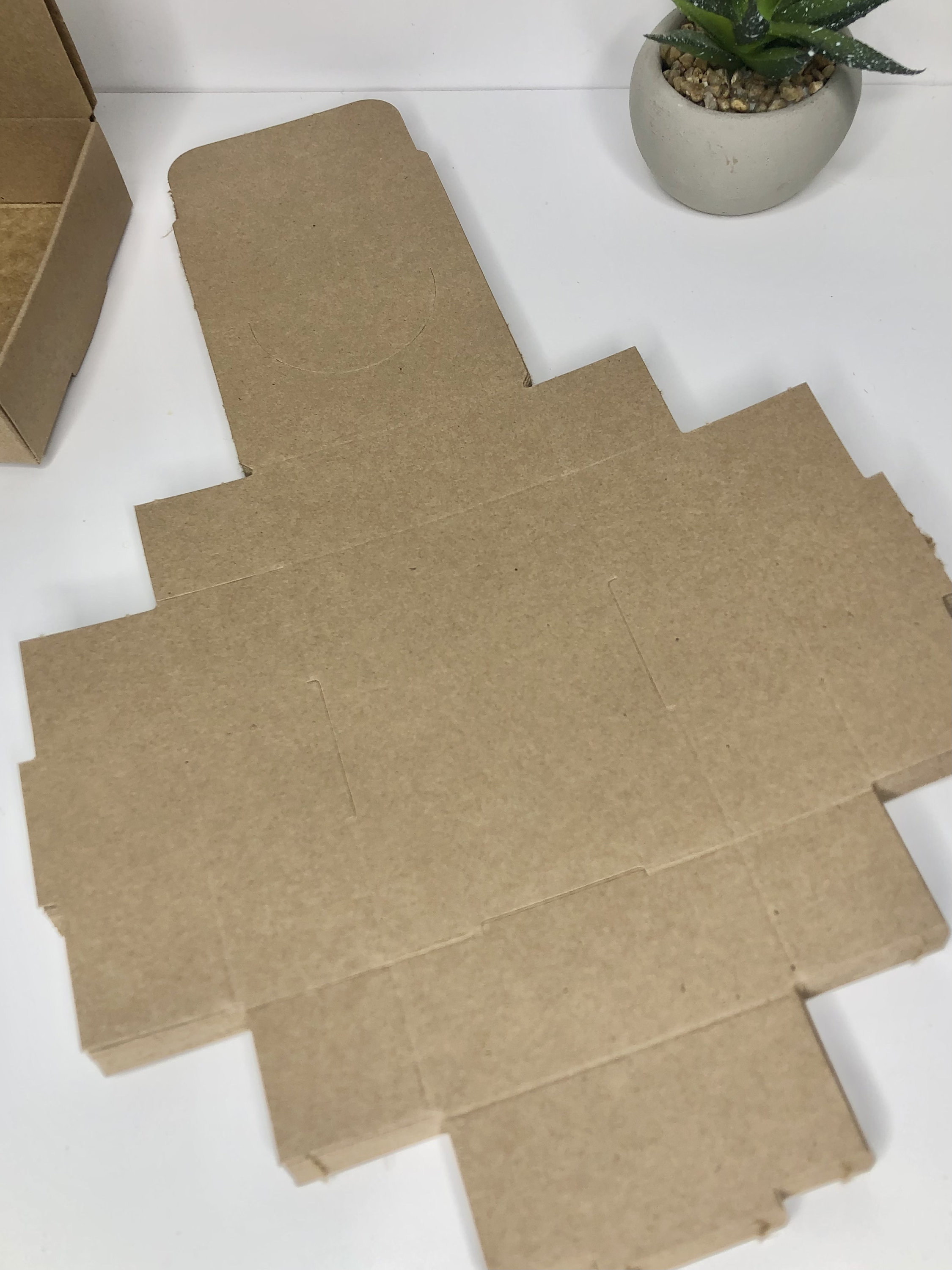 10 Cardboard Lip Balm Display Case Etsy