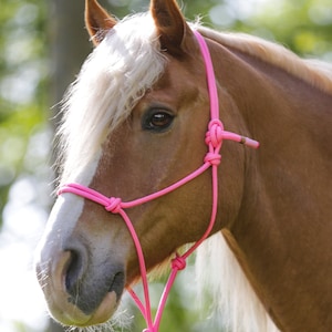 Custom Rope Halter - Adjustable and Customizable - Natural Horsemanship