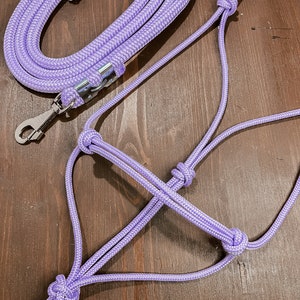 Halter + lanyard basic set