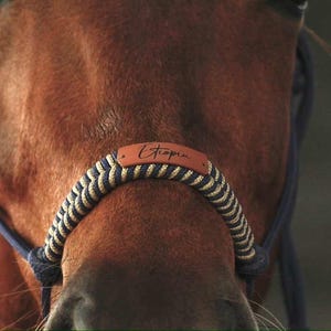 Capezza per cavalli con nome- Fatta a mano - Capezza morbida e resistente