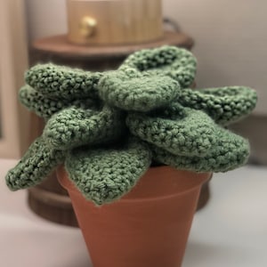 Crochet Succulent Plant Desk Decor