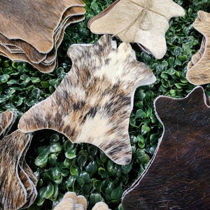 May include: Assortment of cowhide rugs in various colors and patterns, including brown, black, white, and brown and white. The rugs are displayed on a bed of green artificial grass.