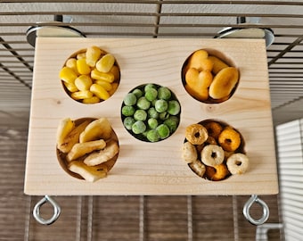 Treat Ledge & Hooks (5 Holes) - Cage Accessories, Reversible Shelf, Platform, Natural Enrichment, Kiln-Dried, Rat, Mouse, Degu, Bird, Gerbil