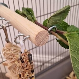 Cage Perch & Hooks - Accessories, Natural Enrichment, Hanging Toys, Kiln-Dried Pine, Small Animal, Rat, Mouse, Degu, Bird, Pet Supplies