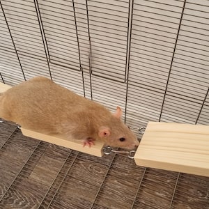 3x 14cm Balance Bridges (3pcs) - Pet Cage Accessories, Fun Enrichment, Exercise, Boredom Breaker Buster, Small Animal, Rat, Bird, Kiln-Dried