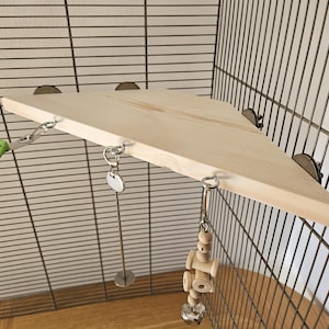 May include: A wooden bird cage shelf with a triangular design. The shelf is light-colored and attached to the cage with metal hardware. A small wooden toy with bells hangs from the shelf, providing enrichment for the bird.