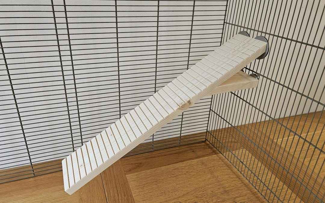 Perspex Step Ramp Old Adventurous Paws OAP Ramp (50cm) - Slope, Ladder, Elderly Pets, HLD ...