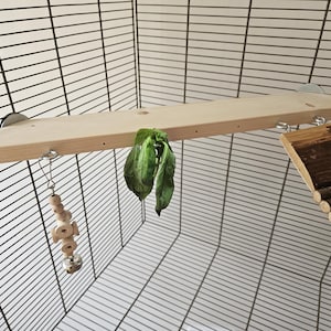 May include: A wooden platform with suction cups attached to the side, hanging inside a cage. A green leafy plant hangs from the platform. A wooden toy with a bell hangs from the platform. A wooden log ladder is attached to the side of the cage.
