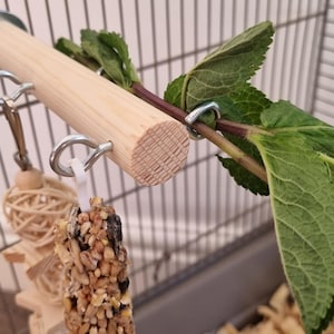 Cage Perch & Hooks - Accessories, Natural Enrichment, Hanging Toys, Kiln-Dried Pine, Small Animal, Rat, Mouse, Degu, Bird, Pet Supplies