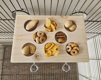 Treat Ledge & Hooks (8 Holes) - Cage Accessories, Foraging, Reversible Shelf, Platform, Enrichment Toy, Kiln-Dried, Rat, Degu, Bird, Gerbil