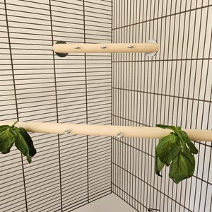 May include: Two wooden perches for a bird cage, each with a metal hook on the end. The perches are attached to the cage with suction cups. The perches are in a bird cage with a wire mesh.