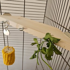 Pet Cage Corner Ledge & Hooks (30cm) - Accessories, Kiln-Dried, Natural Enrichment, Small Animal, Rat, Bird, Budgie, Toys, Platform, Shelf