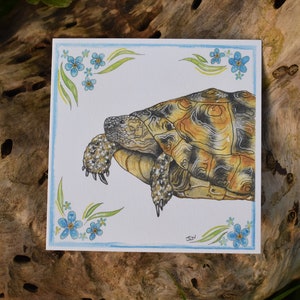 May include: A watercolour painting of a tortoise, featuring a detailed shell pattern in brown and yellow hues. The artwork is framed with a light blue border, decorated with blue flowers and green leaves. The painting is set against a textured wooden background.
