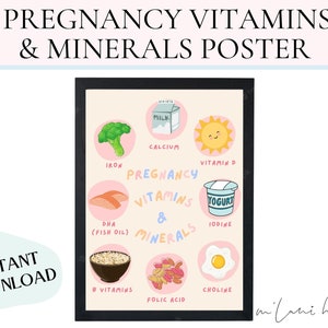 Pregnancy Vitamins and Minerals Educational Poster | Health Poster | Infographic | Digital Instant Download | Nutrition Infographic