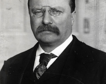 Theodore Roosevelt 8X10 Photo Picture Image US President USA Teddy T.R ...