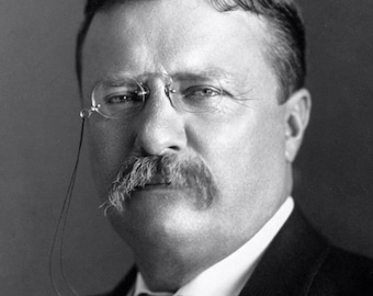 Theodore Roosevelt 8X10 Photo Picture Image US President USA Teddy T.R ...