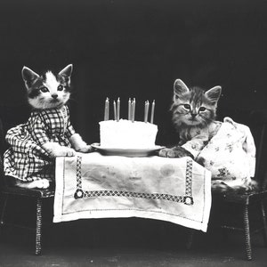 May include: Two kittens dressed in clothes sit at a table with a white cake and lit candles. The kitten on the left is wearing a plaid dress and the kitten on the right is wearing a floral dress.