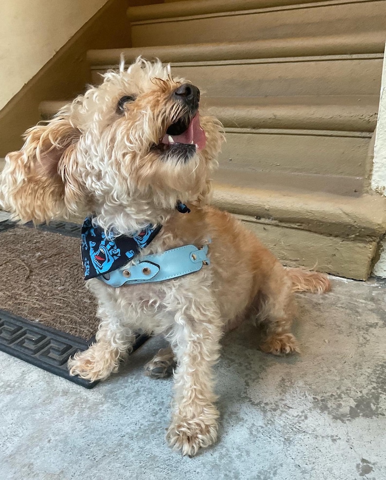 Premium Vegan Leather Apple Airtag Pet Harness All in One Etsy