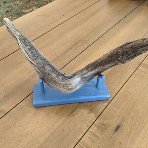 Natural Driftwood Sculpture