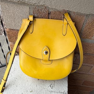⭐️未使用⭐️Dooney&Bourke レザーケース/イエロー/ヴィンテージ Yellow Dooney Bourke - Etsy