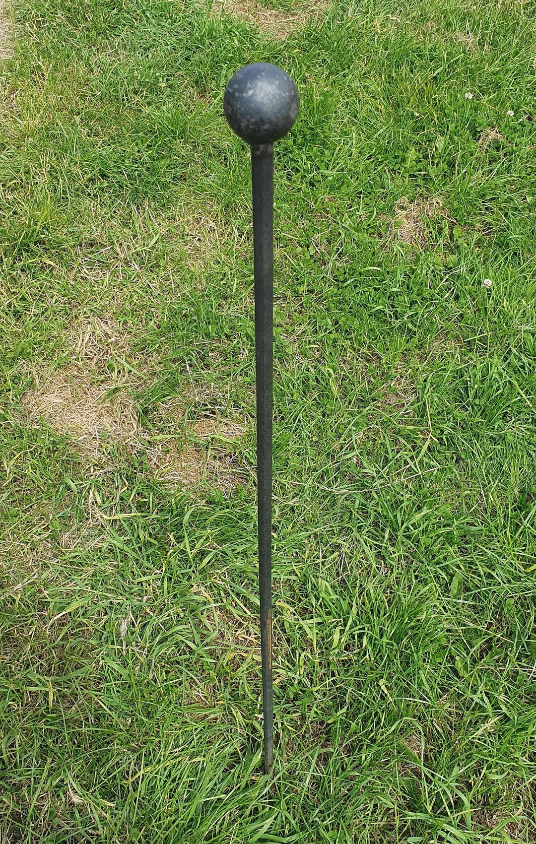 Raw Steel Garden Plant Stakes / Plant Skewers / Plant Supports. Ready ...