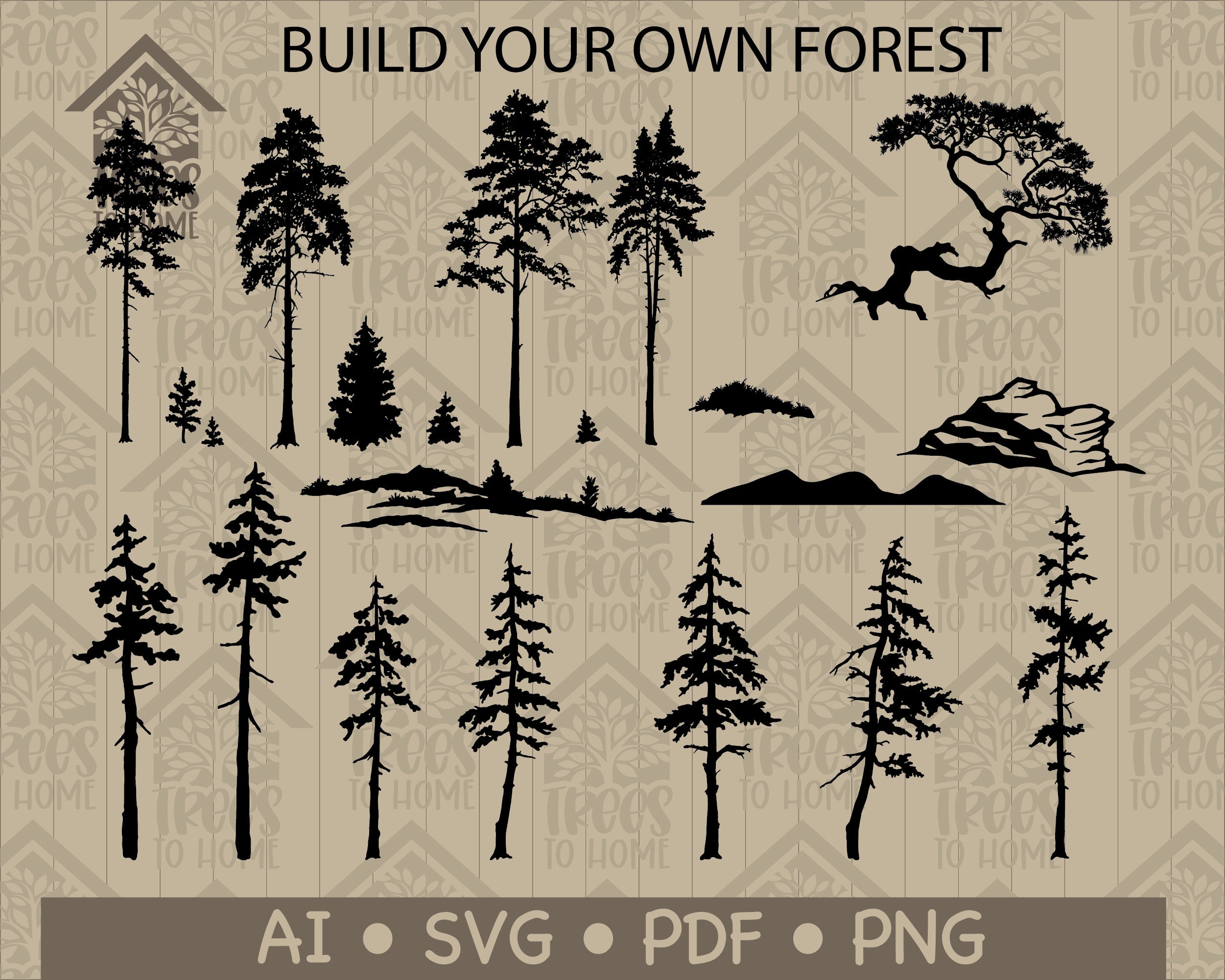 Tall Pine Tree Silhouette | Forest Scene | Young Pine Trees