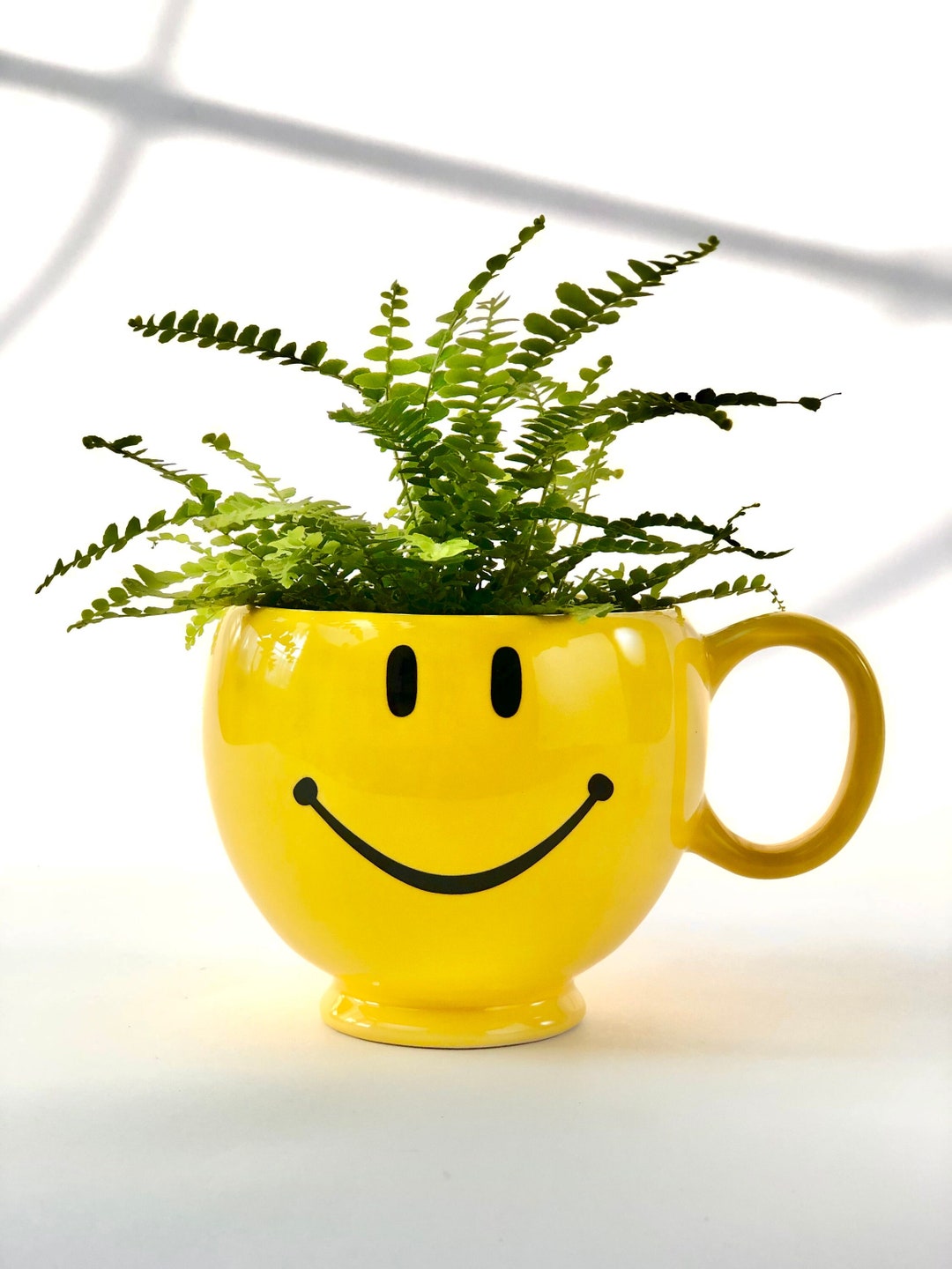 Smiley-Smile_grande.jpg?v=