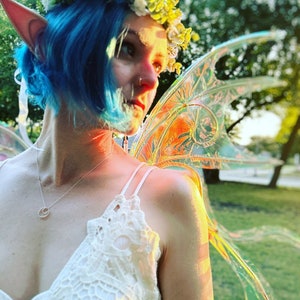Spritely Wings: Color-Shift Steel Welded Fairy Wings
