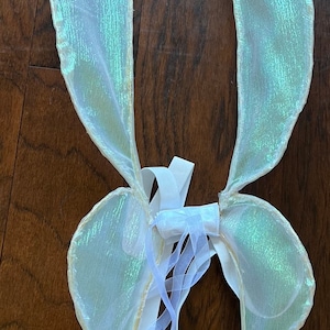 Dainty Ballet Wings: Backpack Style Fairy Costume
