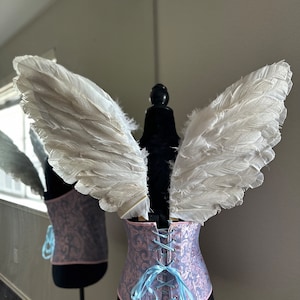 Medium Angel Wings