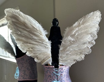 Medium Angel Wings