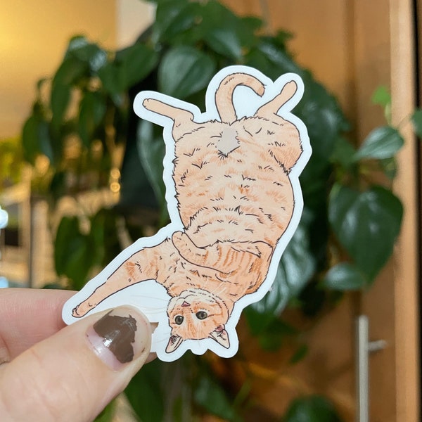 Orange Tabby Cat Waterproof Sticker