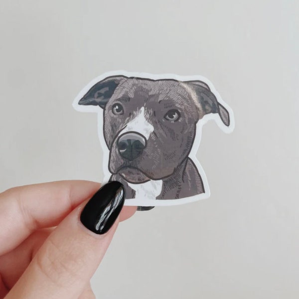 Grey Pitbull Portrait Waterproof Sticker