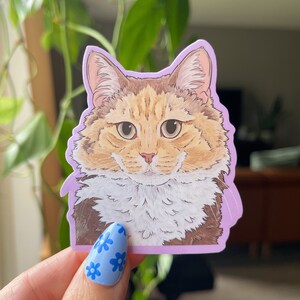 Flauschiger Wasserfester Katzenaufkleber