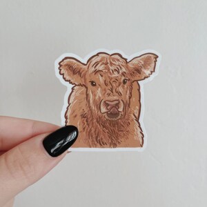 Autocollant imperméable à l’eau Baby Highland Cow