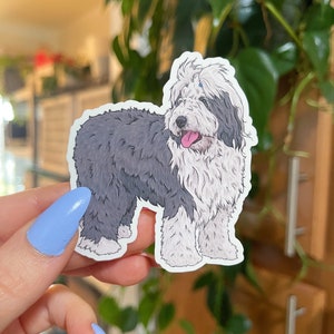 Oude Engelse herdershond waterdichte sticker