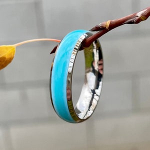 May include: A silver ring with a light blue enamel band. The ring is on a branch.