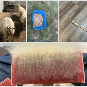 Image showing steps of the process of making the wool bracelets: a sheep before sheering, a fleece being washed, carded wool, and wool sun into yarn.