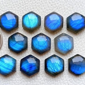 May include: Ten hexagonal labradorite gemstones, each exhibiting a striking blue iridescence. A UK coin is not included for size comparison. The gemstones are small and detailed, perfect for jewellery making or collecting.