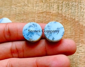 AAA Grade  ~ Natural Dendrite Agate Cabochon, Round Shape Natural Dendrite Agate, Top Quality Natural Dendrite For Jewelry Making !!!