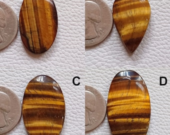 May include: Four polished tiger's eye gemstones in various shapes. The stones display bands of golden brown and dark brown. One is oval, one teardrop-shaped, and two are oval. A U.S. quarter coin is next to each stone for size comparison.