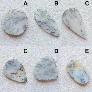 K&ouml;nnte beinhalten: Sechs Dendriten-Achat-Cabochons in verschiedenen Formen werden gezeigt. Die Steine haben eine wei&szlig;e Basis mit detaillierten schwarzen und grauen, farnartigen Einschl&uuml;ssen. Die Formen umfassen einen Kreis, einen Tropfen und unregelm&auml;&szlig;ige Formen.