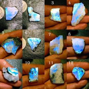 May include: A collection of twelve raw moonstone specimens, each displaying a unique play of color with iridescent blue and white hues. The stones vary in shape and size, showcasing natural textures and patterns. The moonstones are displayed against a dark background.